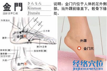 金門穴位位置圖