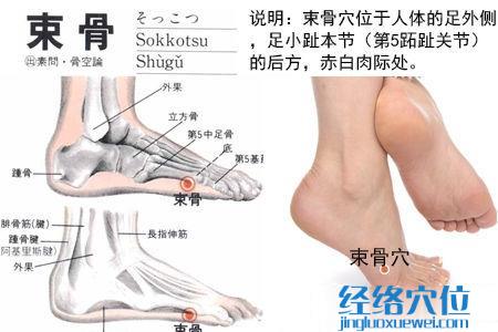 束骨穴位位置圖