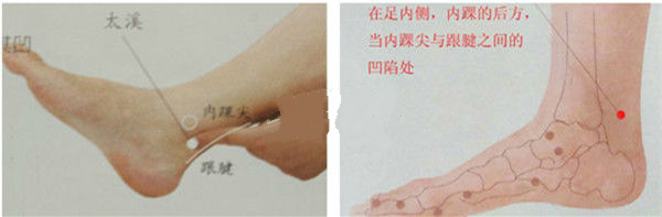 太溪穴的準確位置圖