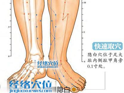 隱白穴的準確位置圖