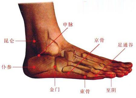 京骨穴、金門穴、束骨穴等穴位
