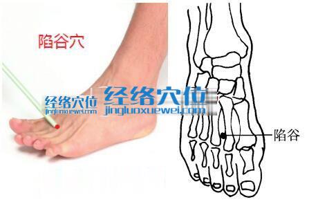 陷谷穴位位置圖
