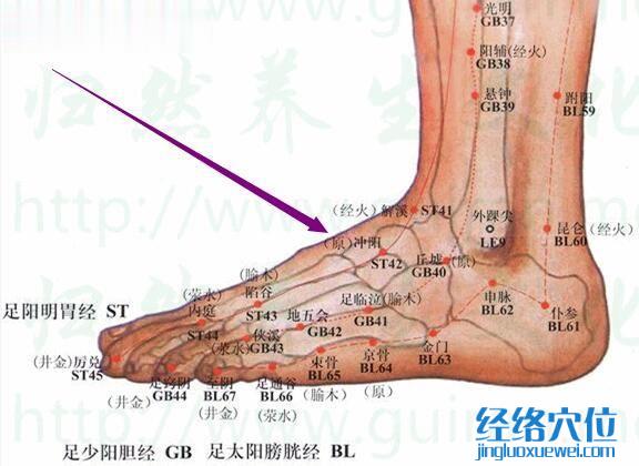 沖陽(yáng)穴的準(zhǔn)確位置圖