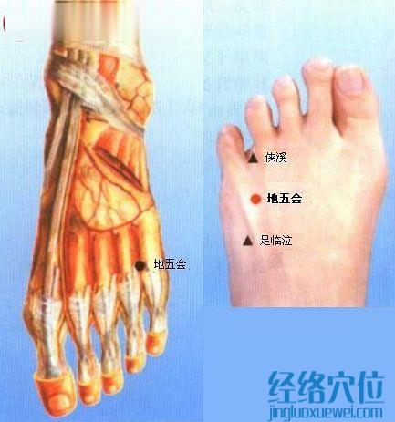 地五會穴