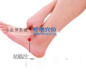 足臨泣穴位位置圖