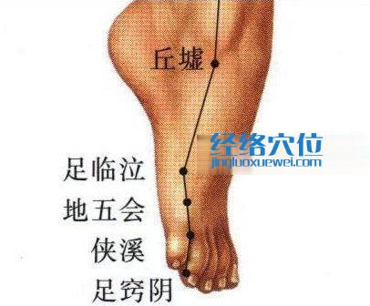 足臨泣穴位位置圖
