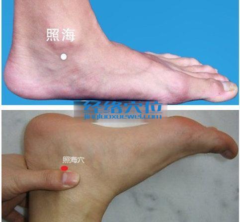 照海穴位位置圖