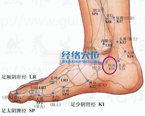 照海穴的準(zhǔn)確位置圖