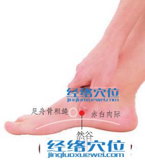 然谷穴位位置圖