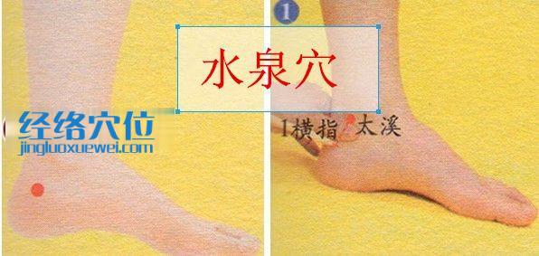 水泉穴的位置圖
