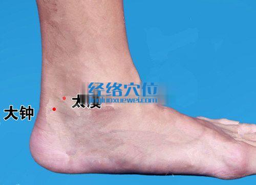 大鐘穴的位置圖