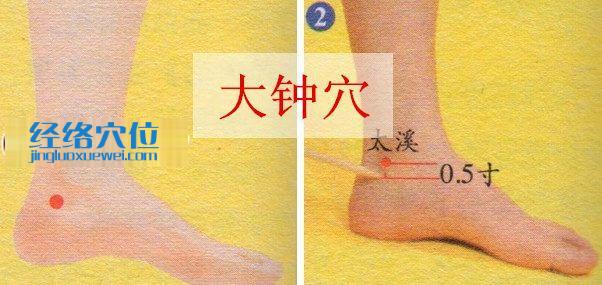 大鐘穴的準(zhǔn)確位置圖