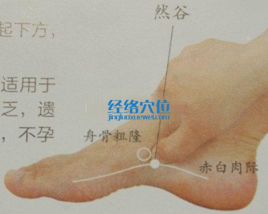 然谷穴的位置圖