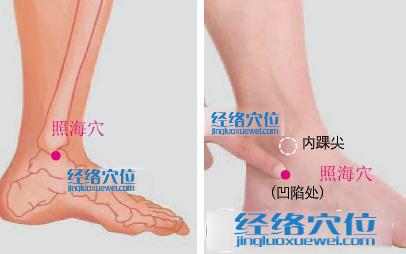 照海穴位位置圖