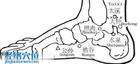 照海穴的準(zhǔn)確位置圖