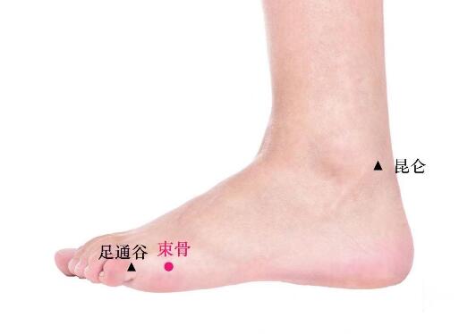 束骨的準確位置圖及功效視頻位位置圖