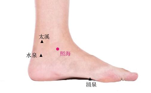 照海的準確位置圖及功效視頻位位置圖