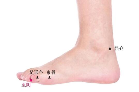 至陰的準(zhǔn)確位置圖及功效視頻位位置圖