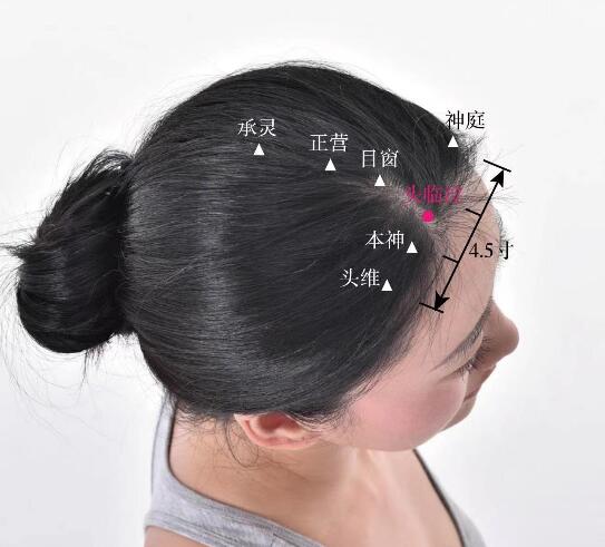 頭臨泣的準確位置圖及功效視頻位位置圖