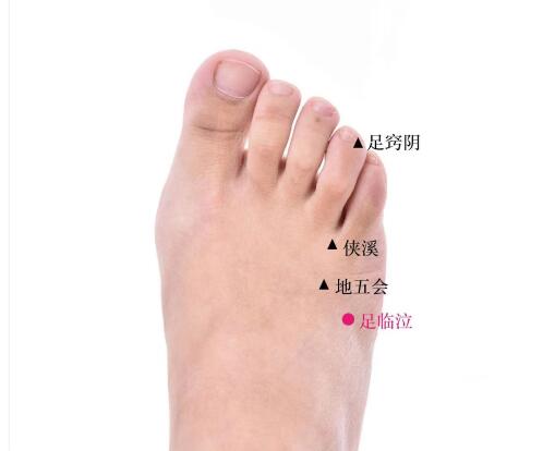 足臨泣的準確位置圖及功效視頻位位置圖