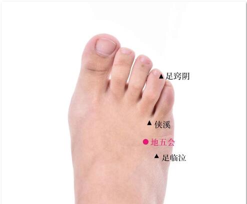 地五會的準確位置圖及功效視頻位位置圖