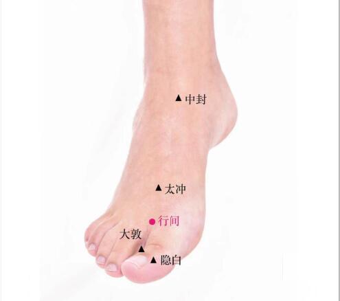 行間的準確位置圖及功效視頻位位置圖