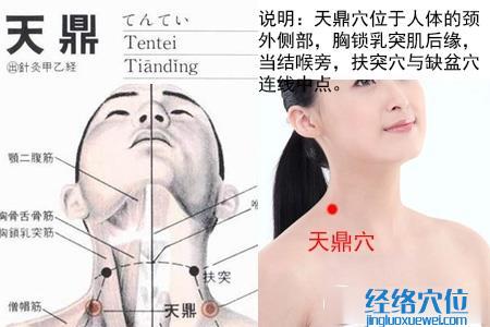 天鼎穴位位置圖