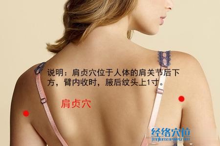 肩貞穴位位置圖