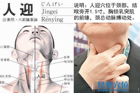人迎穴位位置圖