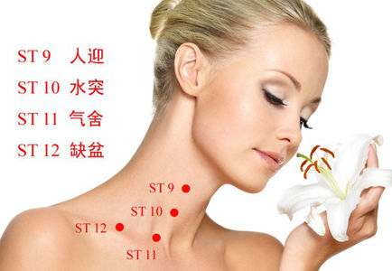 缺盆穴位位置圖