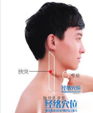 高清圖解扶突穴的準確位置圖