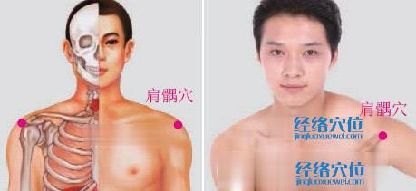 肩髃穴位位置圖