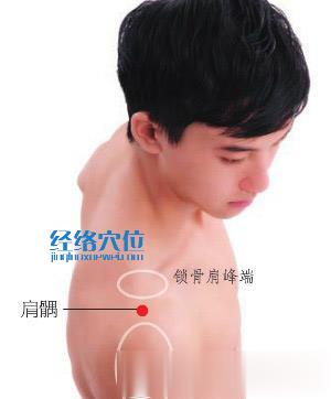 圖解肩髃穴的準確位置圖