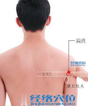 肩貞穴的準(zhǔn)確位置圖
