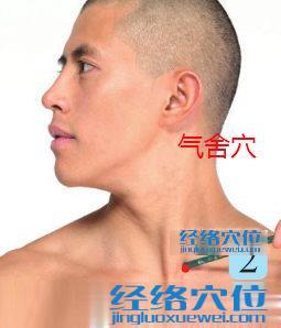 氣舍穴位位置圖