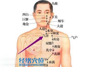 氣舍穴位位置圖