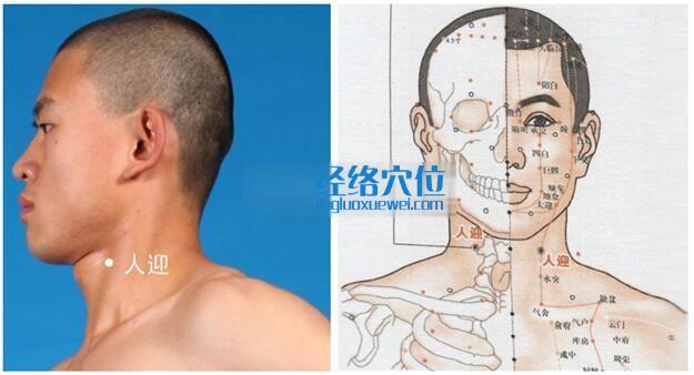 人迎穴的準確位置圖