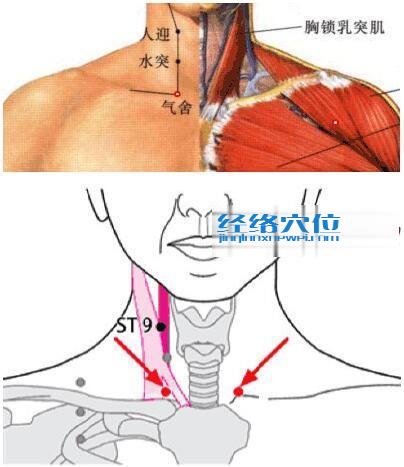 氣舍穴位位置圖