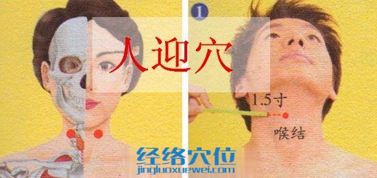 人迎穴位位置圖
