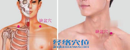 缺盆穴位位置圖