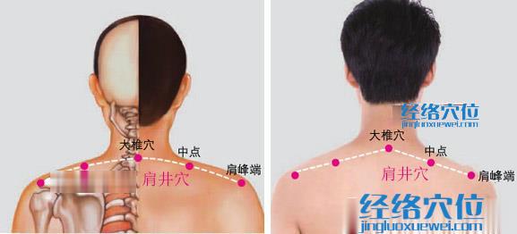 肩井穴位位置圖