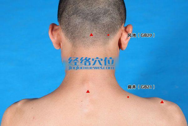 肩井穴位圖
