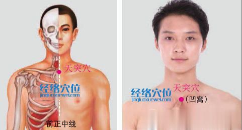 天突穴位位置圖