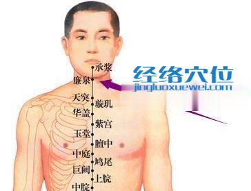 廉泉穴的位置圖