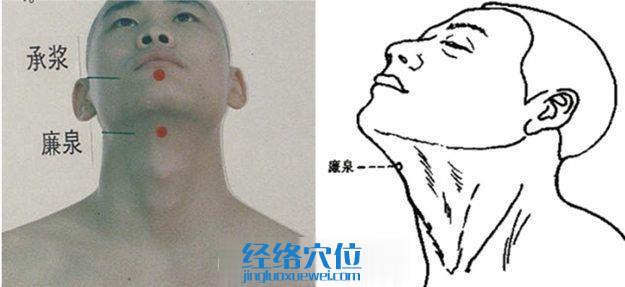 廉泉穴的準(zhǔn)確位置圖
