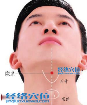 廉泉穴位位置圖