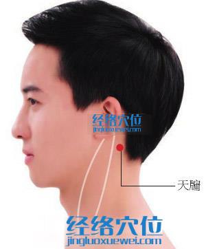 天牖穴位位置圖