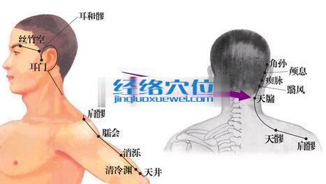 天牖穴位位置圖