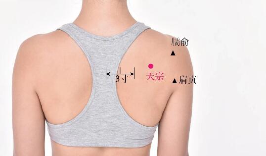 天宗的準(zhǔn)確位置圖及功效視頻位位置圖