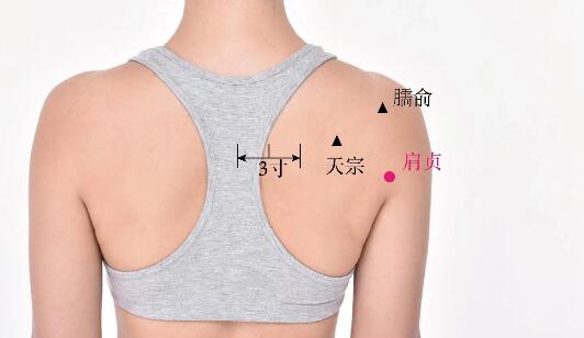 肩貞的準確位置圖及功效視頻位位置圖